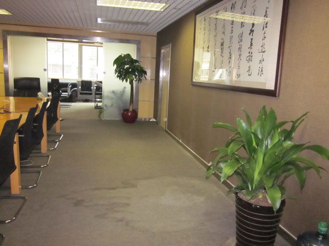 单杆发财树220