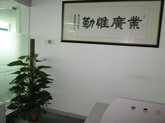 绿萝250